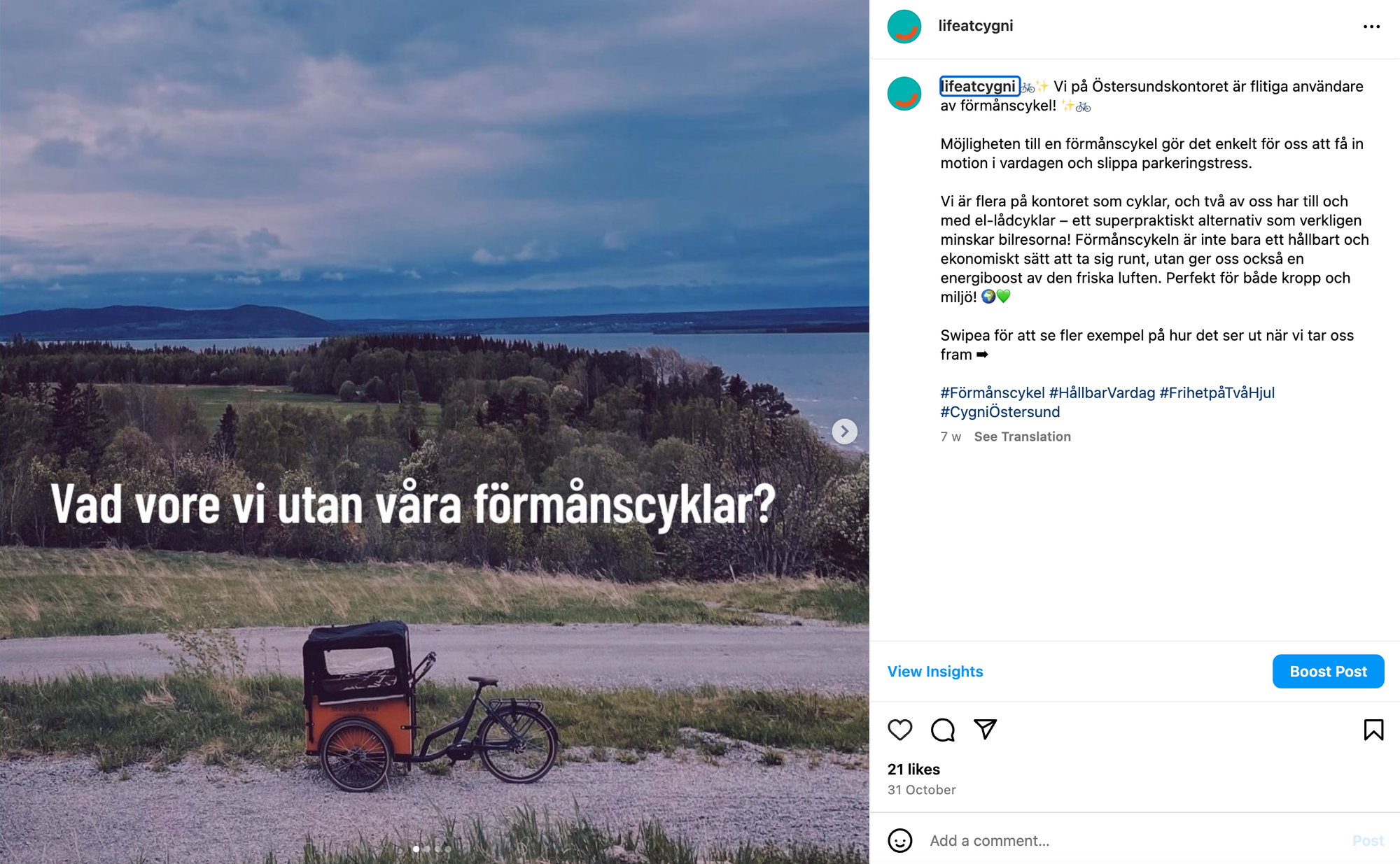 Förmånscykel med släp i fjällnatur