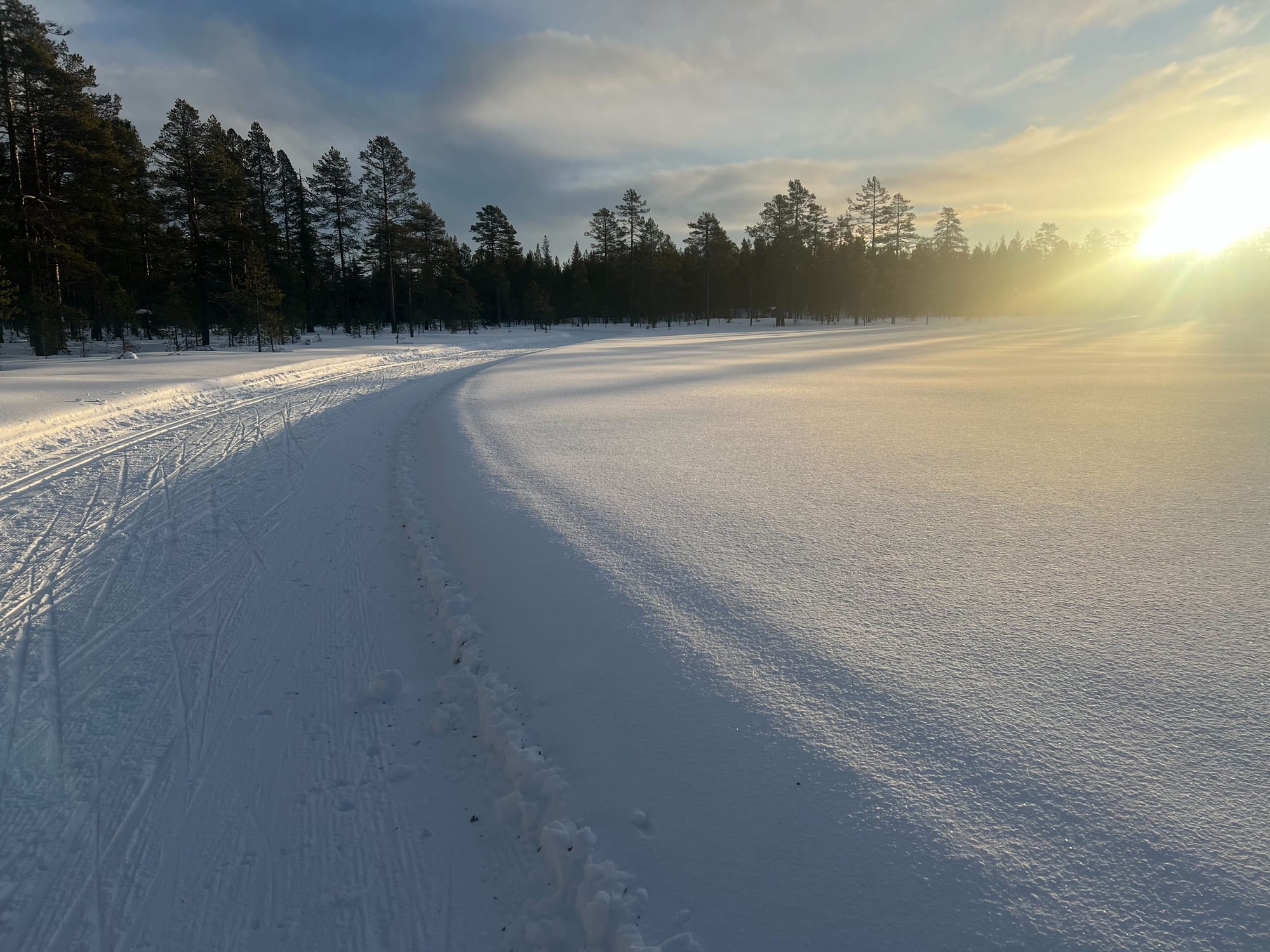 Snölandskap