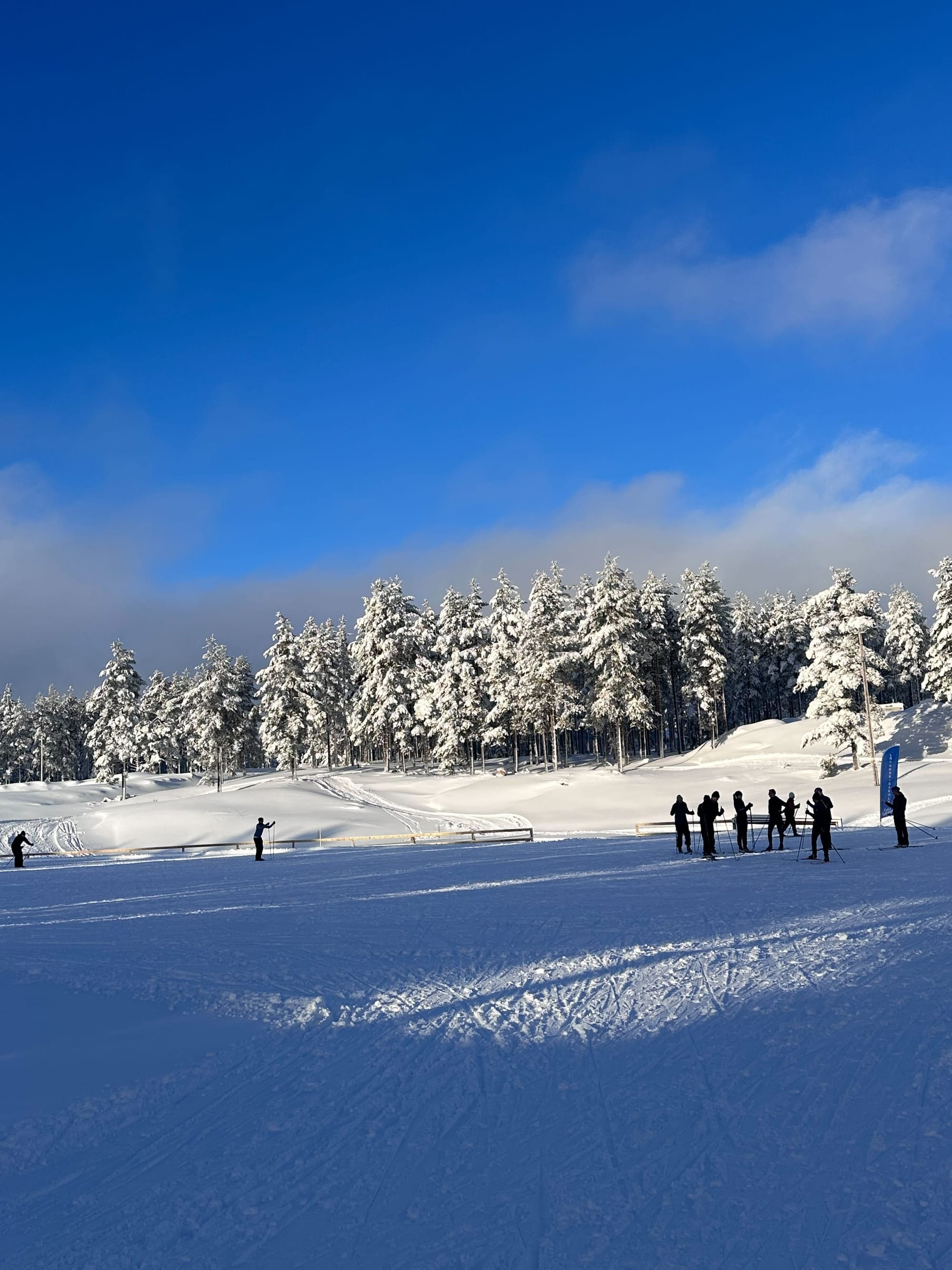 Snölandskap